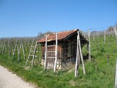 Weil am Rhein Weiler Weinweg 009.jpg